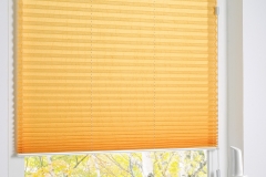 PLEATED BLINDS1