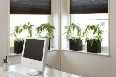 PLEATED BLINDS12