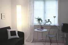PLEATED BLINDS15