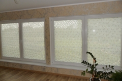 PLEATED BLINDS53