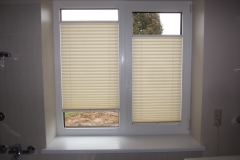 PLEATED BLINDS56