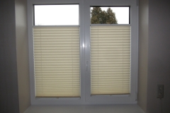 PLEATED BLINDS57