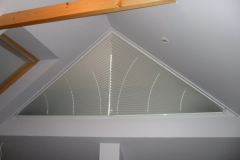 PLEATED BLINDS58