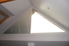 PLEATED BLINDS59
