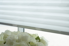 PLEATED BLINDS6