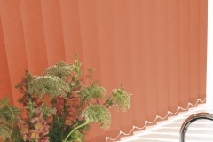 Vertical blinds21