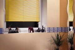 Venetian blinds2