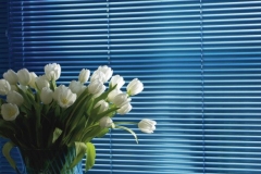 Venetian blinds26