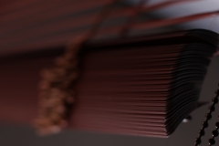 Venetian blinds30