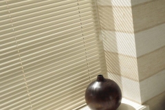 Venetian blinds31