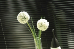 Venetian blinds45