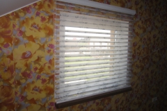 Roller blinds SILKUETTE6
